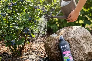 floria-okyslovac-pody-2026_01