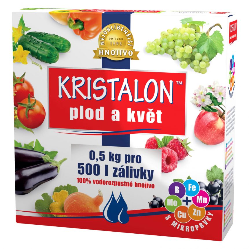 Plod a kvet